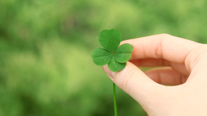 Free Sheet Music: "I'm Looking Over a Four Leaf Clover"
