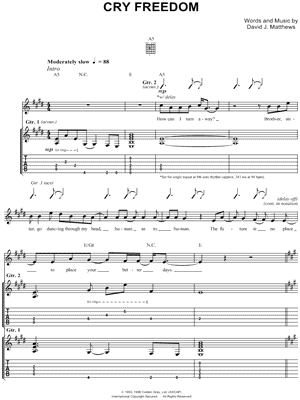 Cry Freedom Sheet Music by Dave Matthews - Guitar Recorded Versions (with TAB), Guitar TAB Transcription/Guitar Recorded Versions (with TAB);Guitar TAB Transcription