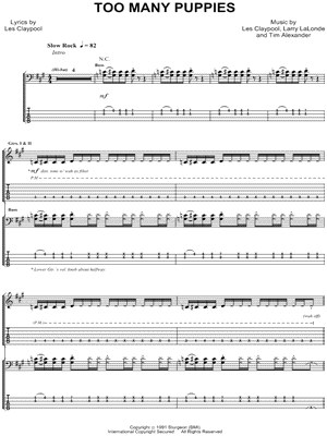 Too Many Puppies Sheet Music by Primus - Guitar TAB Transcription