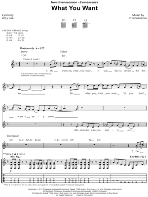 Image of Evanescence What You Want Guitar Tab Digital Download 