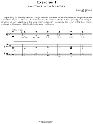 Voice Exercise