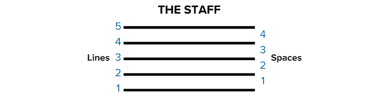 How to read sheet music: the staff