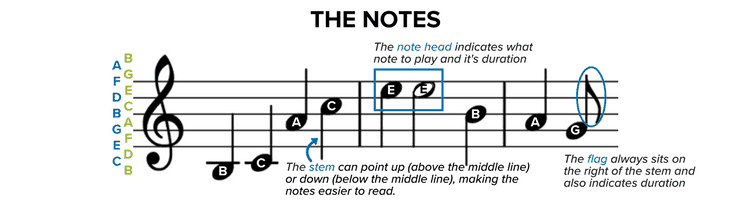 How to read sheet music: The Notes