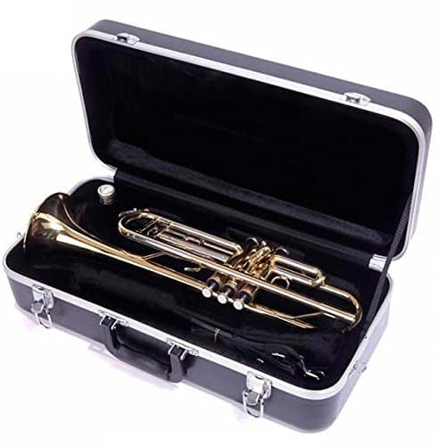 how to travel with musical instruments - trumpet case