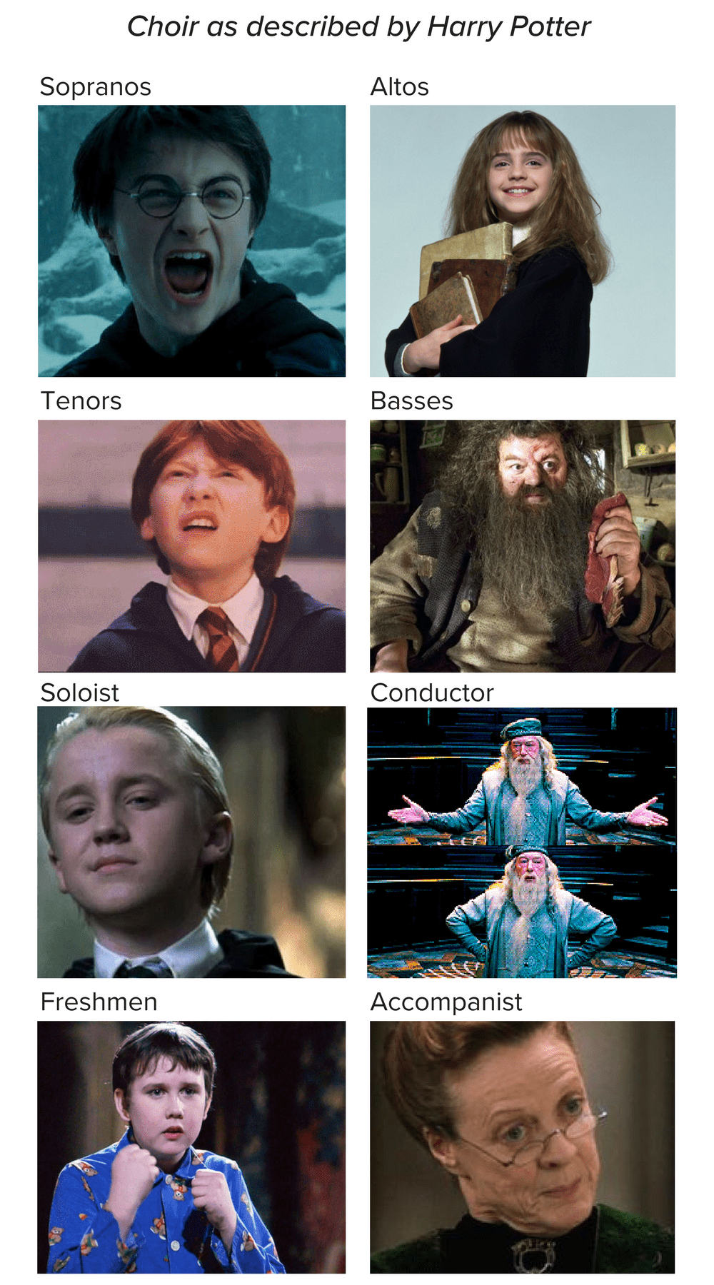 Memes Harry Potter