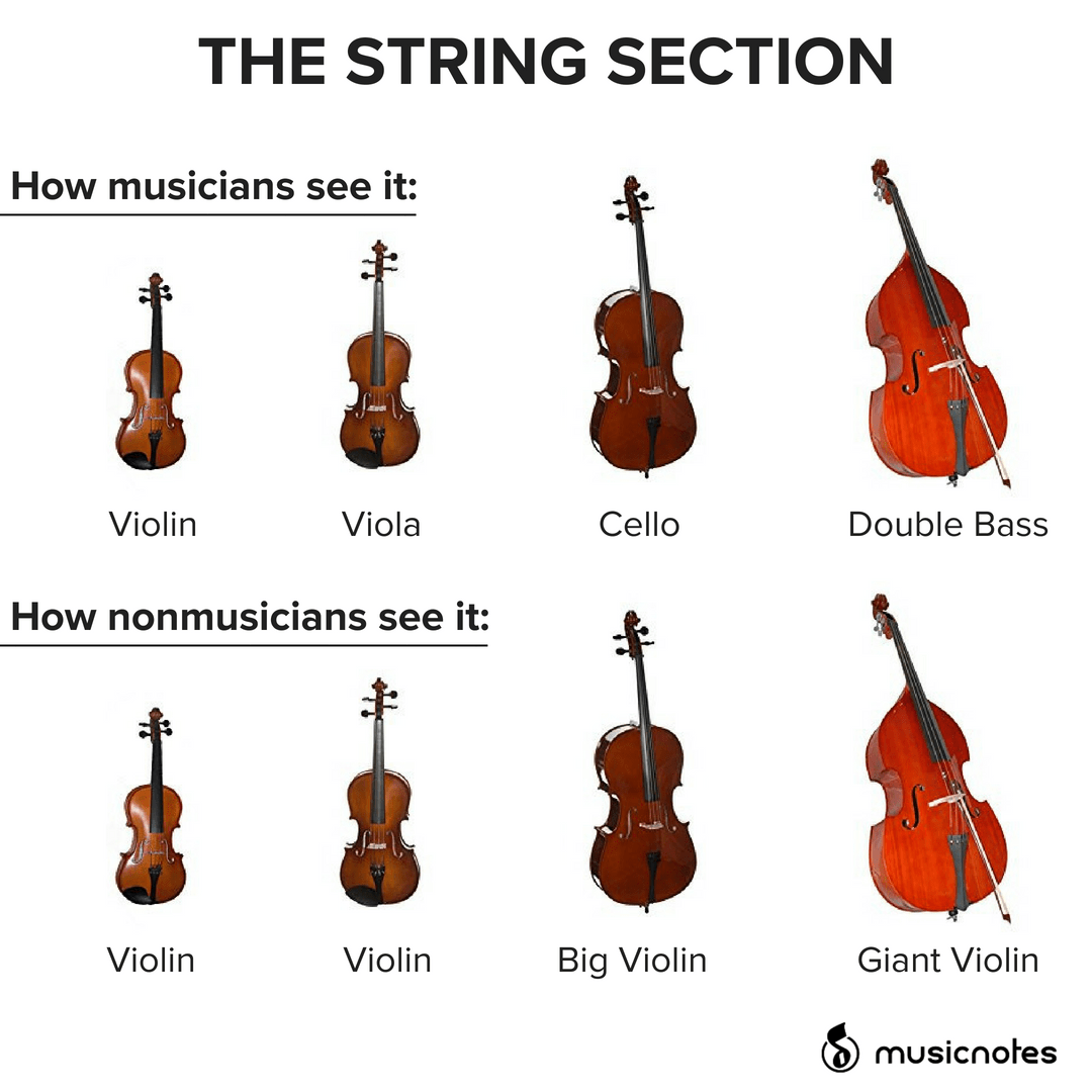 violin memes