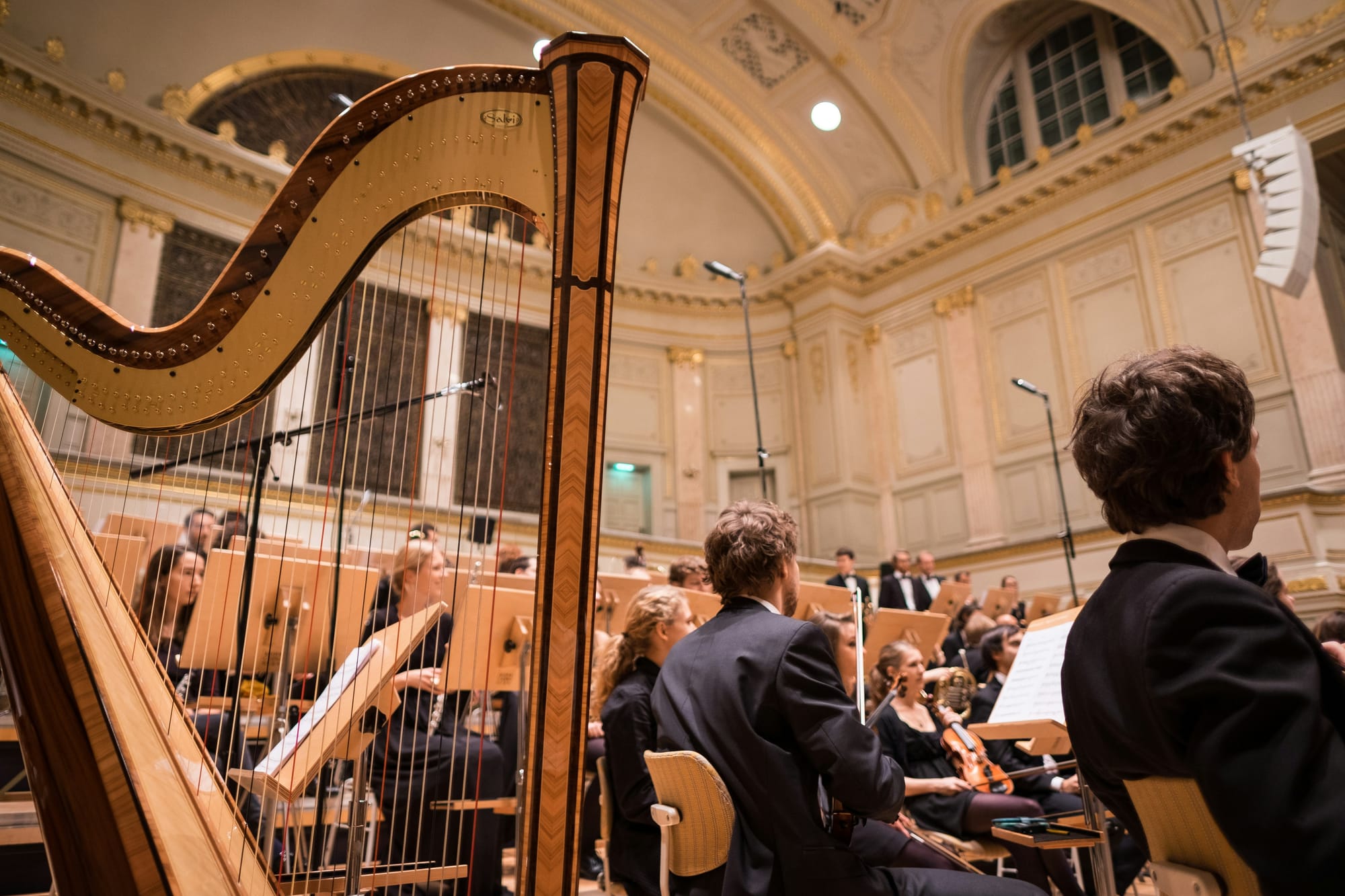 The 10 Most Difficult Musical Instruments to Master (And Why They're Worth the Effort)