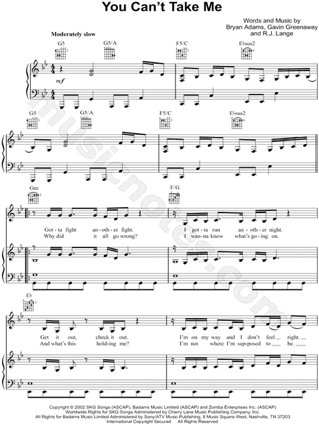 Bryan Adams "You Can't Take Me" Sheet Music in G Minor (transposable