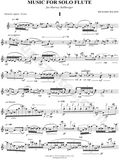 Flute Part Sheet music for Flute (Solo)