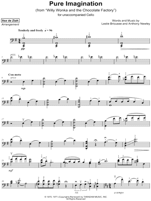 Ilse de Ziah - Pure Imagination - from Willy Wonka & the Chocolate Factory - Sheet Music (Digital Download)