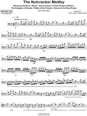 Nicholas Yee - The Nutcracker Medley - (Miniature Overture - March - Dance Scene - A Pine Forest in Winter - The Kingdom of Sweets - Waltz of the Flowers - Dance of the Reed Flutes) - Sheet Music (Digital Download)