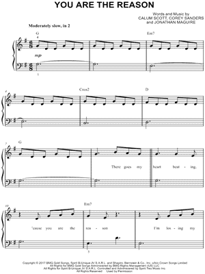 boxeo cristal plataforma Calum Scott "You Are the Reason" Sheet Music (Easy Piano) in G Major  (transposable) - Download & Print - SKU: MN0191031