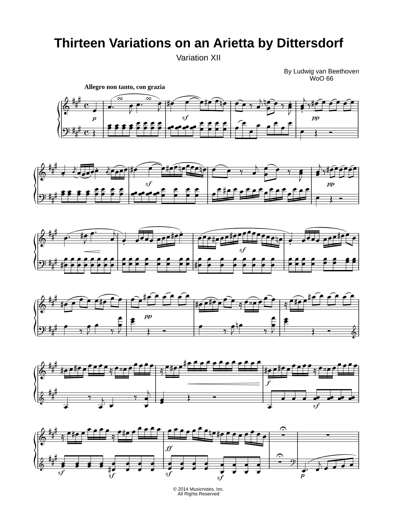 Ludwig Van Beethoven 