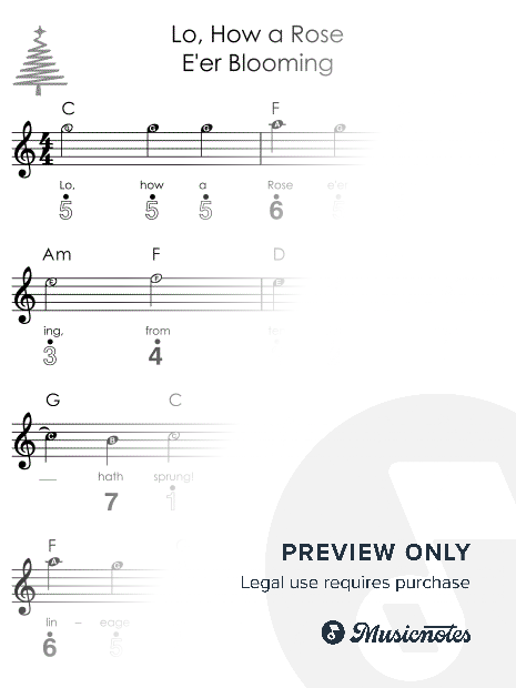 Lo, How a Rose E'er Blooming I Easy Kalimba Christmas Sheet Music for Beginners