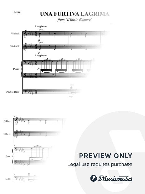 Una Furtiva Lagrima - from L'Elisir d'amore - Gaetano Donizetti