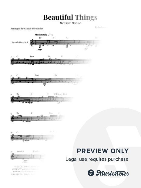 Beautiful Things | FRENCH HORN SOLO