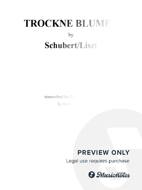 Schubert/Liszt: Trockne Blumen, D.795/18, S.563/4