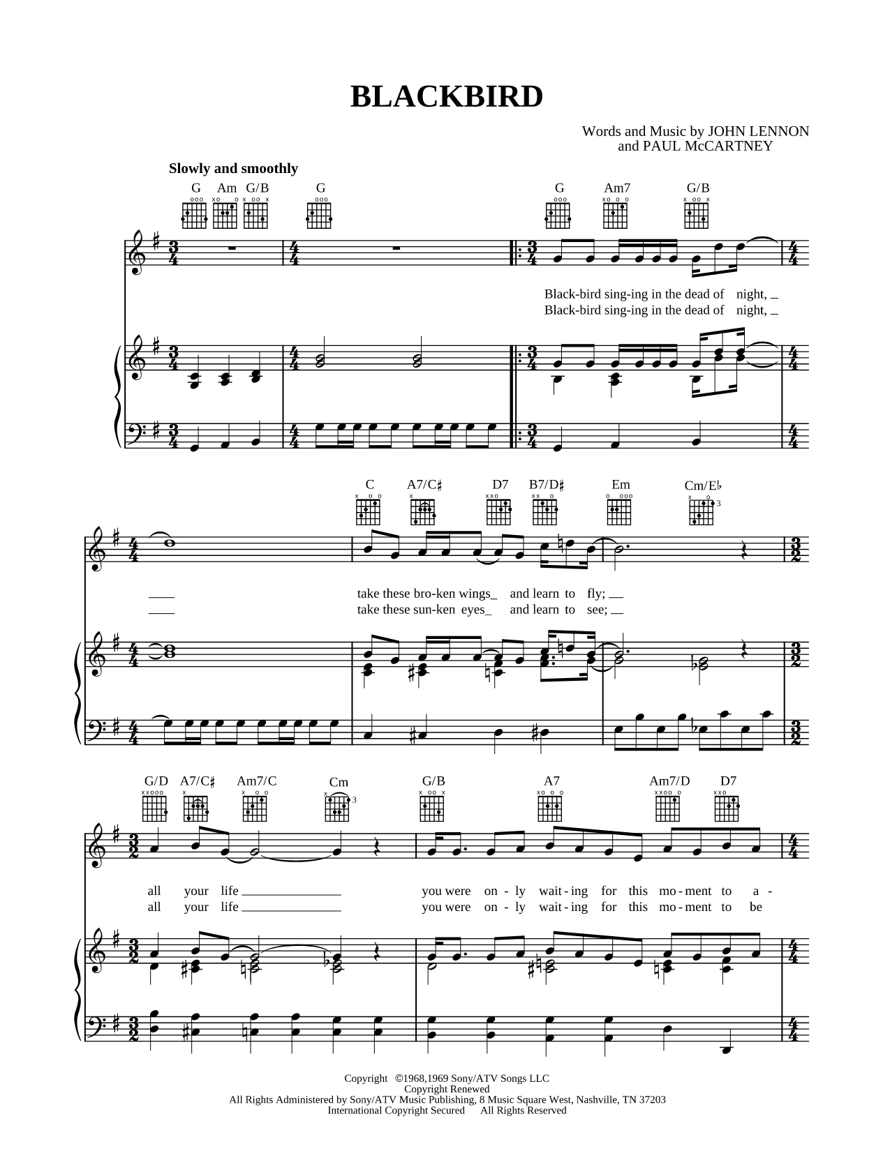 Blackbird