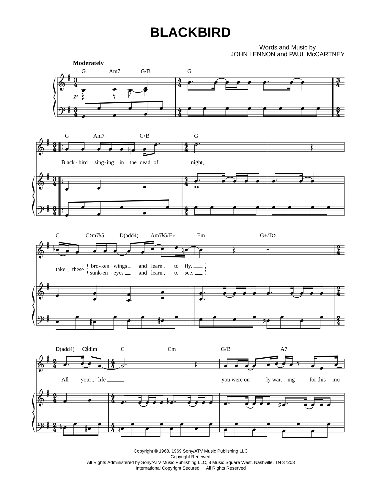 Blackbird