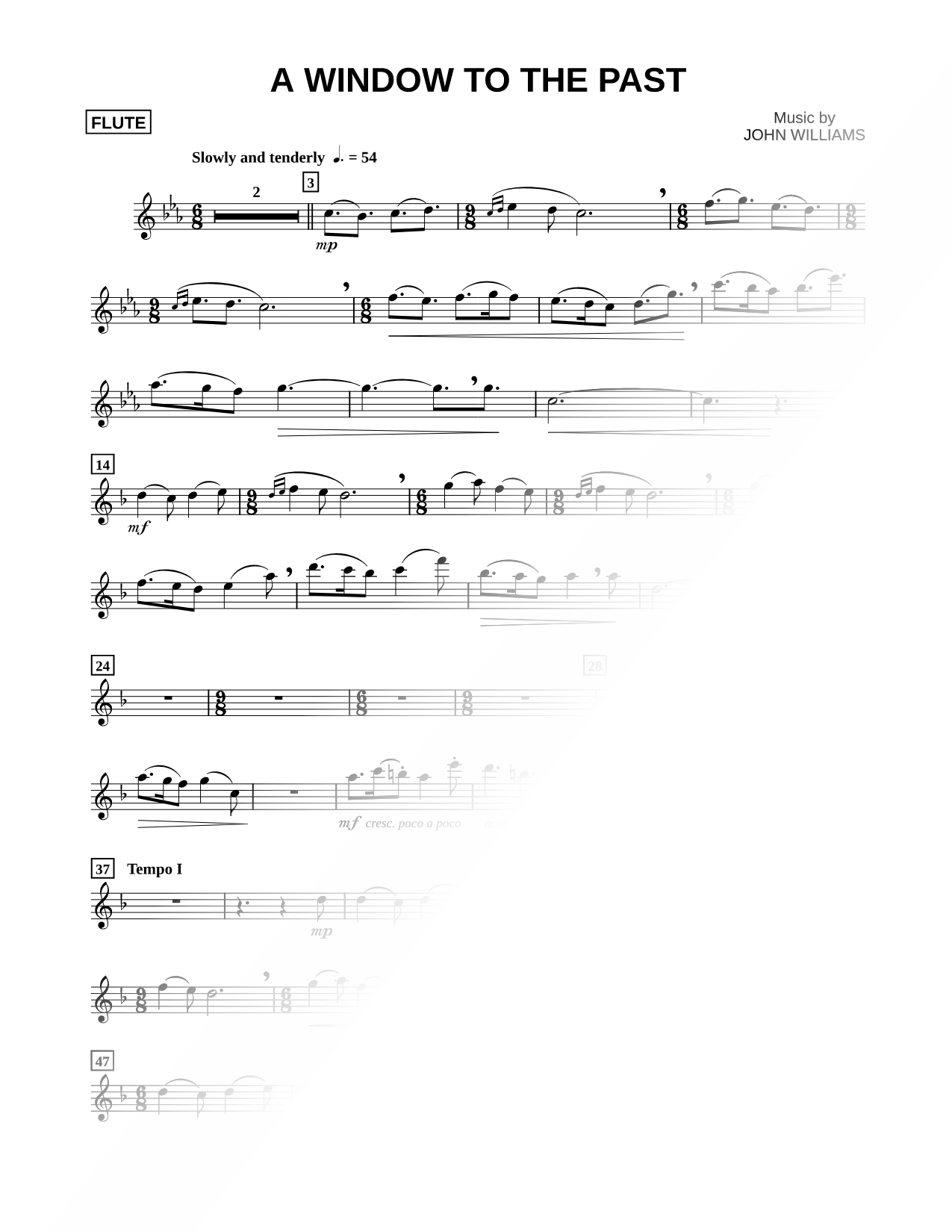 A Window To the Past - Flute