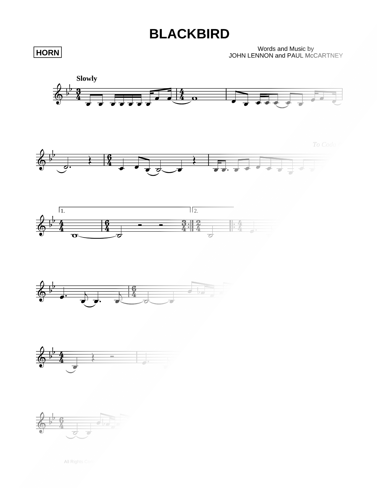 Blackbird