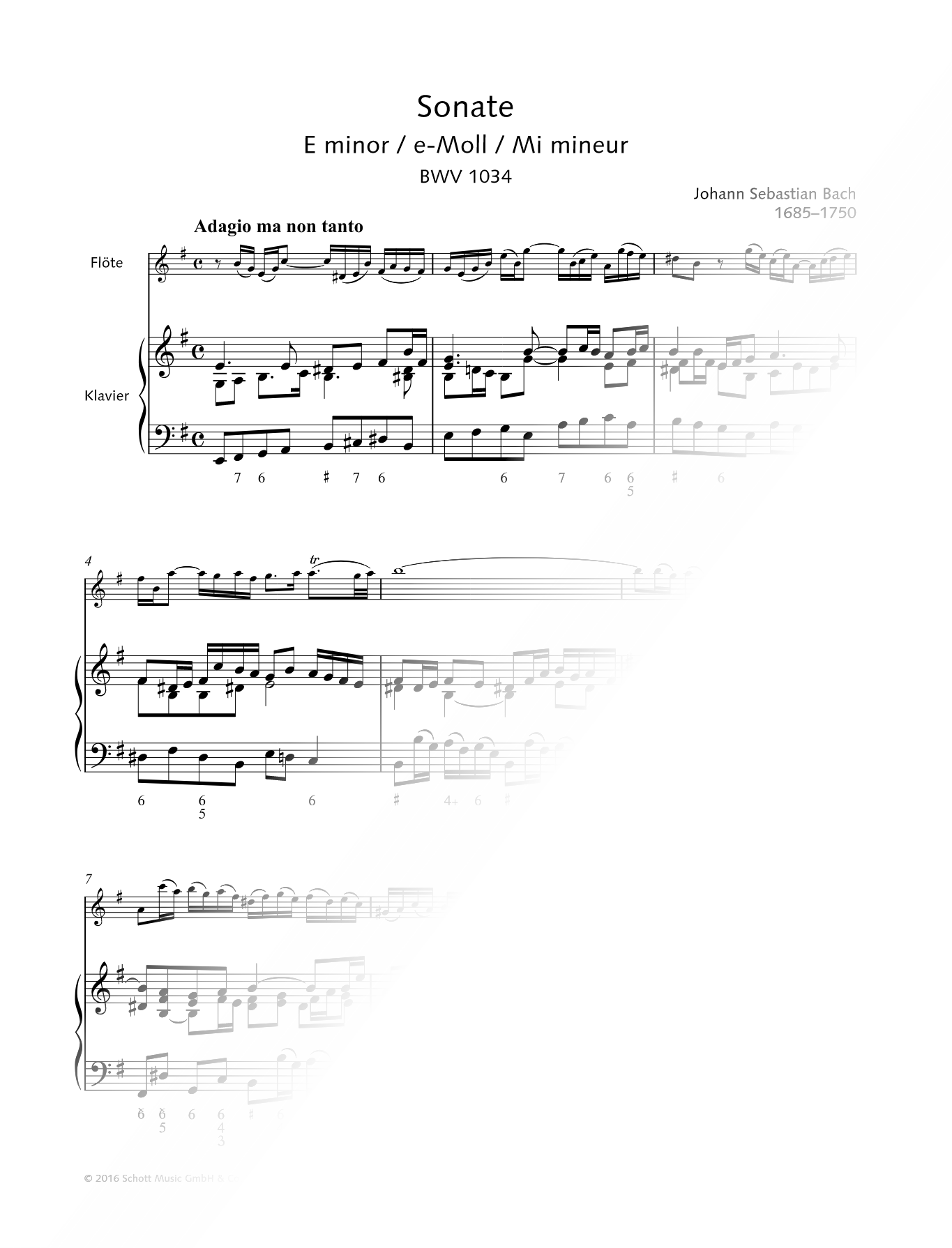 Sonata in E Minor, BWV 1034: III. Andante - Flute & Piano