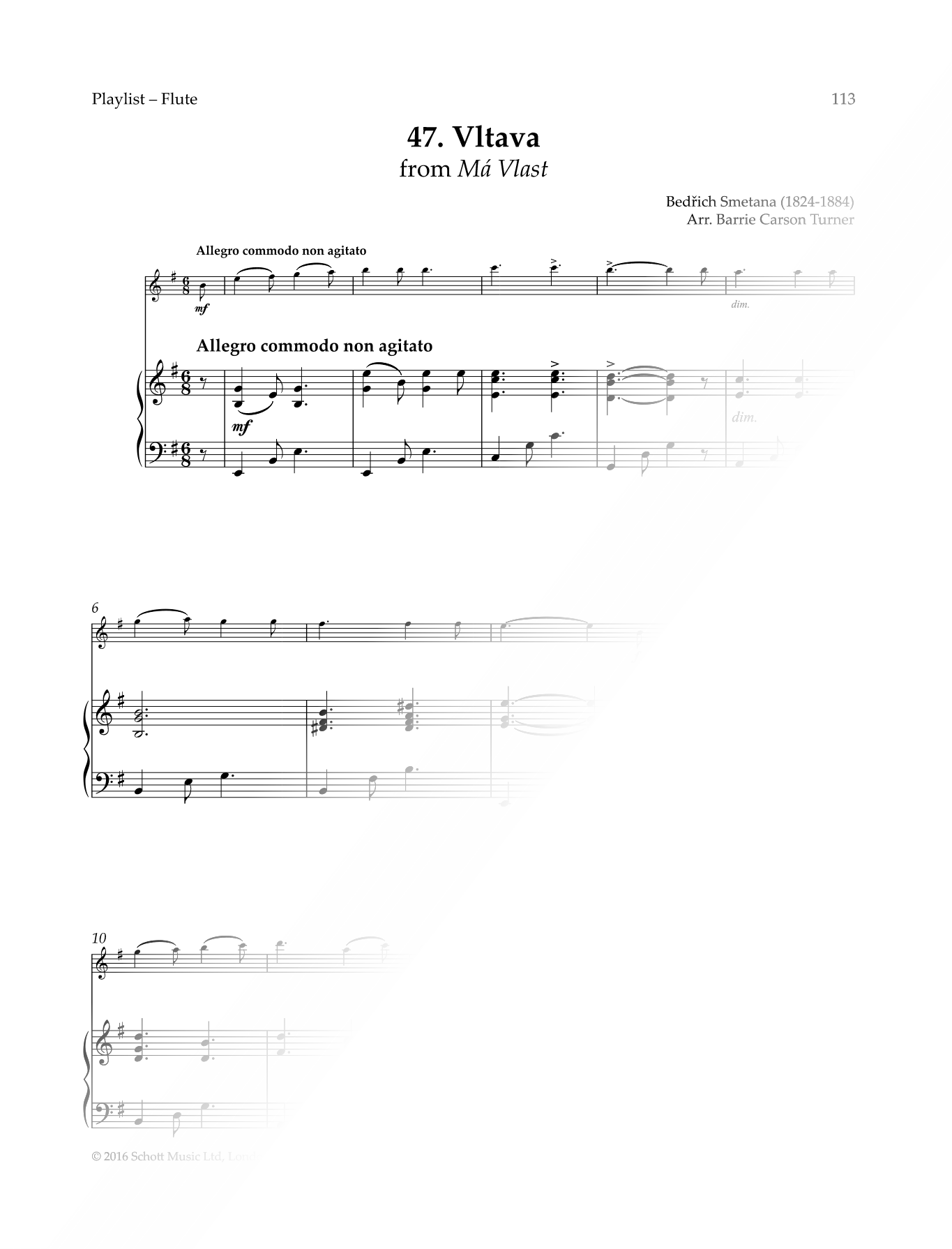 Die Moldau (from Má Vlast) - Flute & Piano