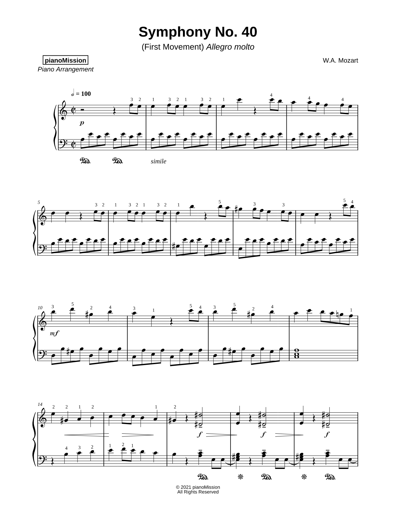 Symphony No. 40: I. Molto Allegro