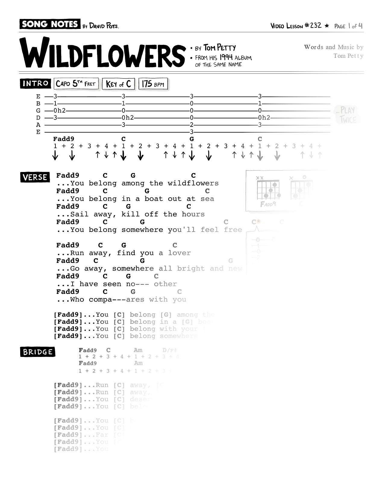 Wildflowers