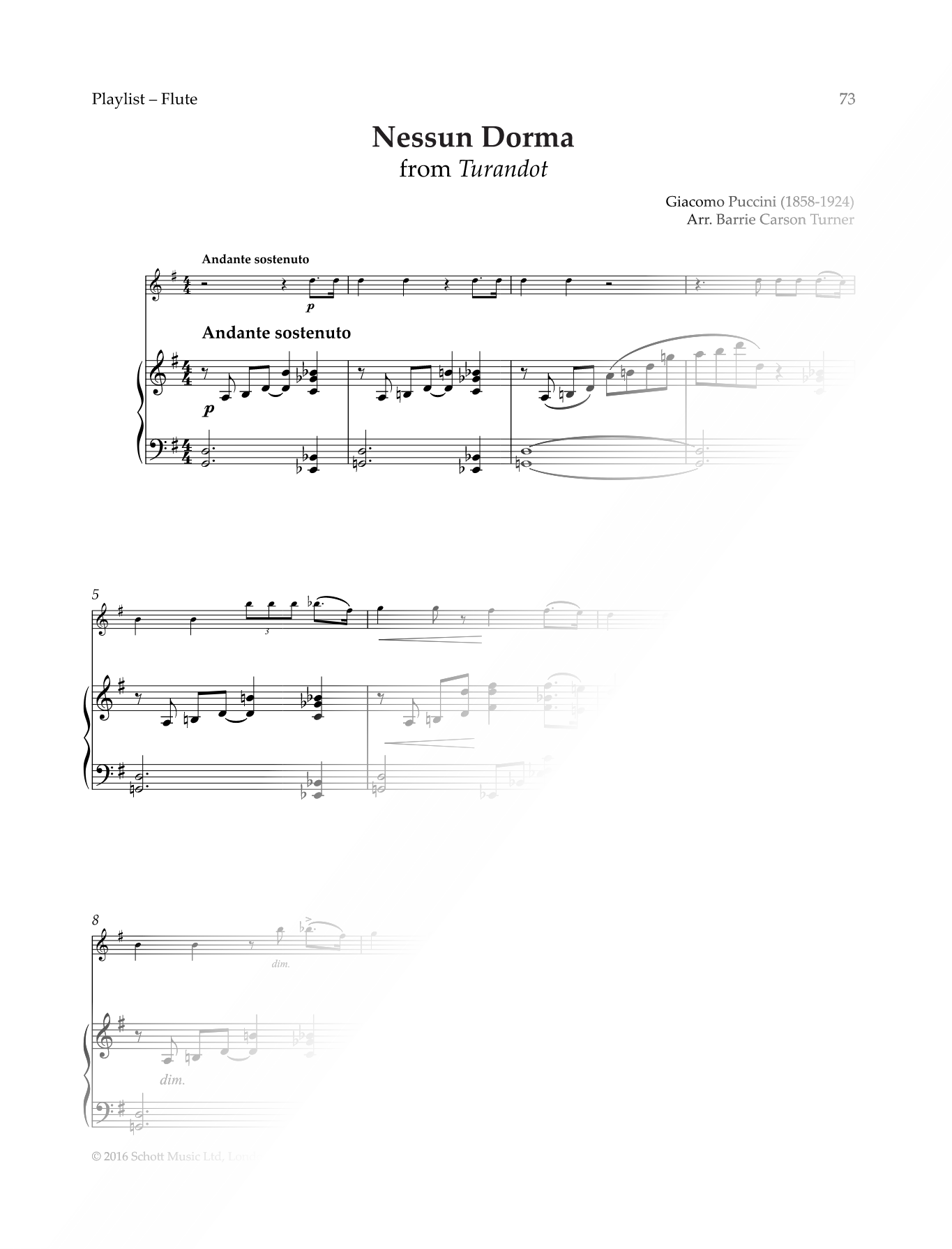 Nessun Dorma - Flute & Piano