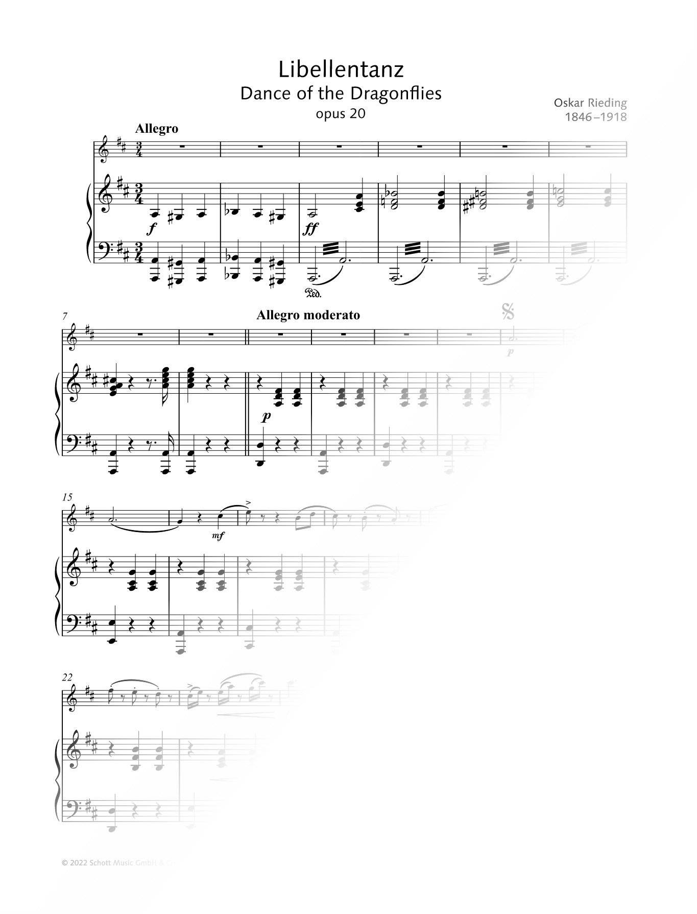 Libellentanz - Violin & Piano