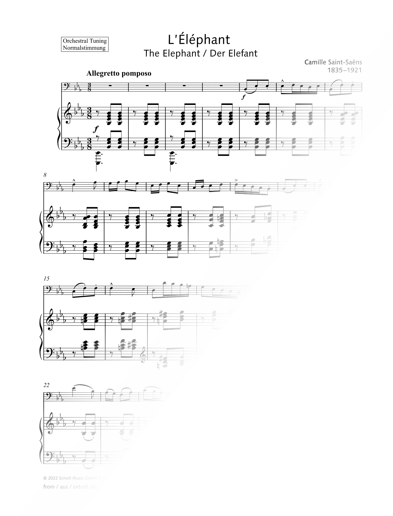 The Elephant - Double Bass & Piano