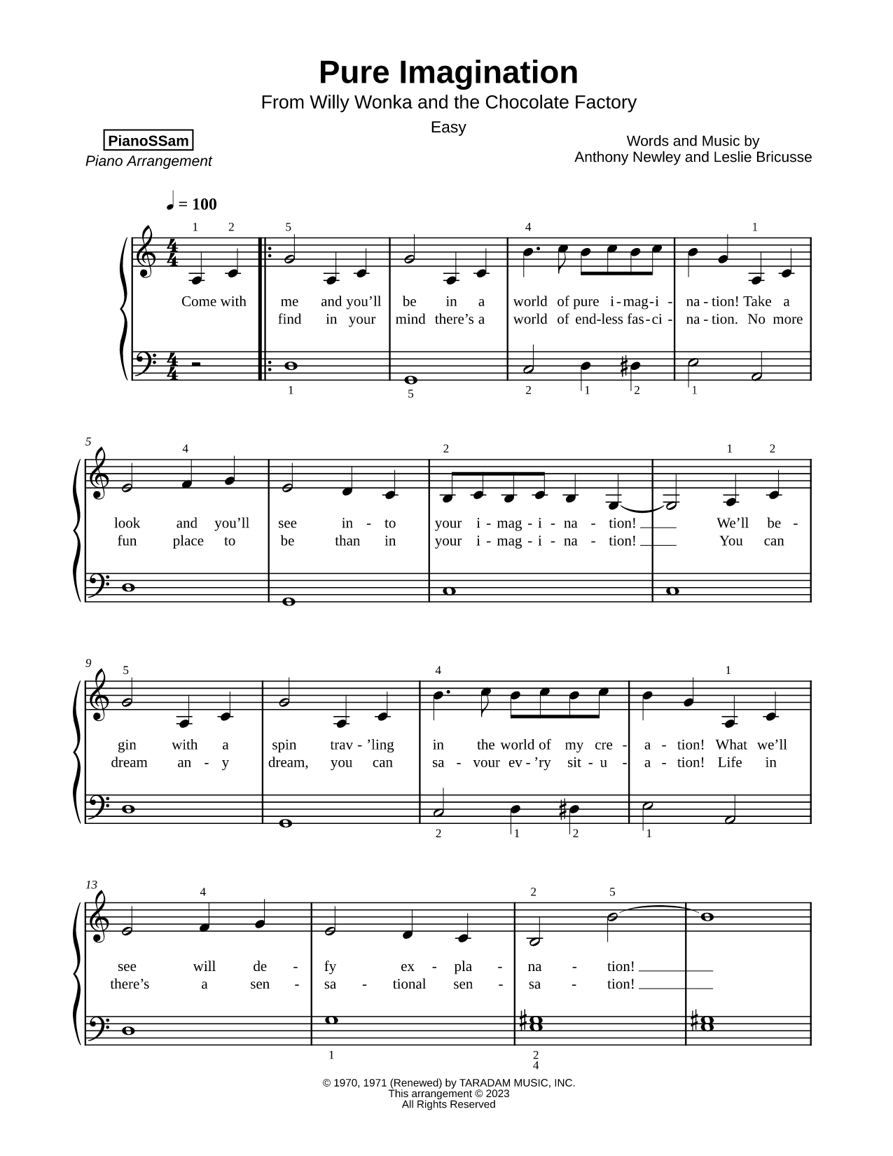 Pure Imagination [easy]