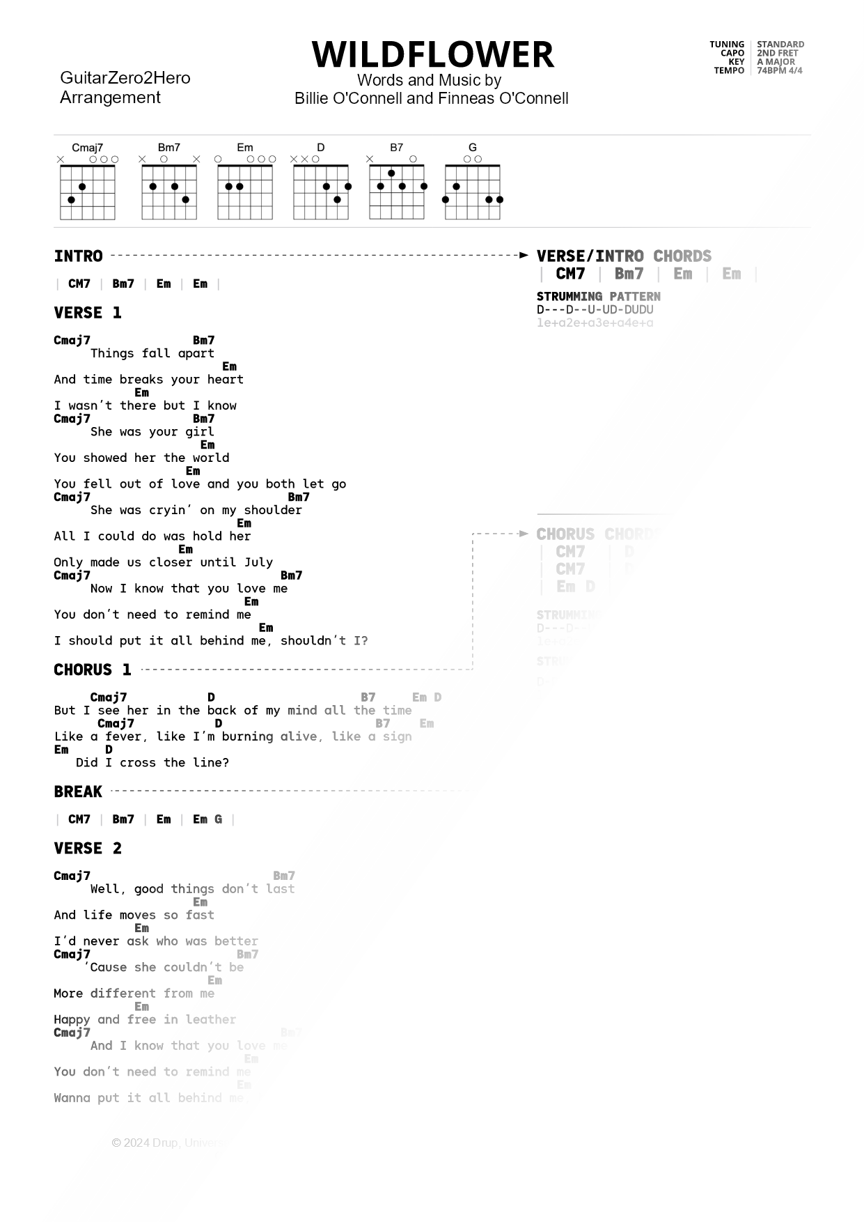 WILDFLOWER [easy]