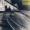 DAVID'S PIANOSOUND